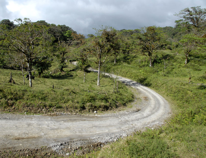 Droga do Monteverde